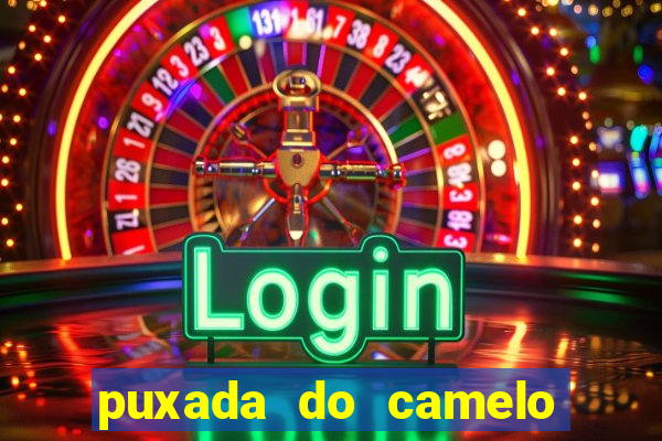 puxada do camelo jogo do bicho